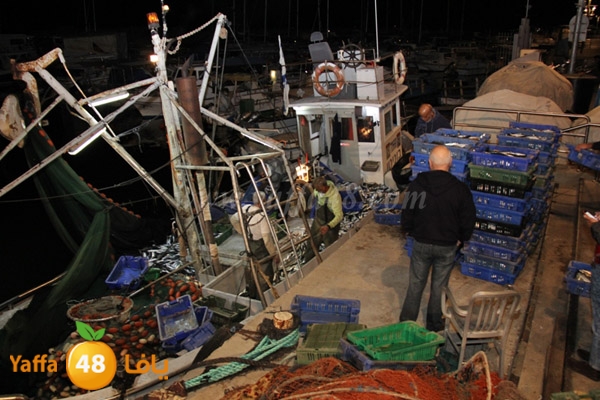 fishes in jaffa 0107 (12).JPG